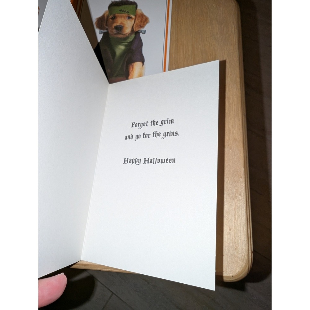 Halloween Decor Set Happy Halloween Wood Sign & American Greetings Pet Cards - Picture 5 of 6